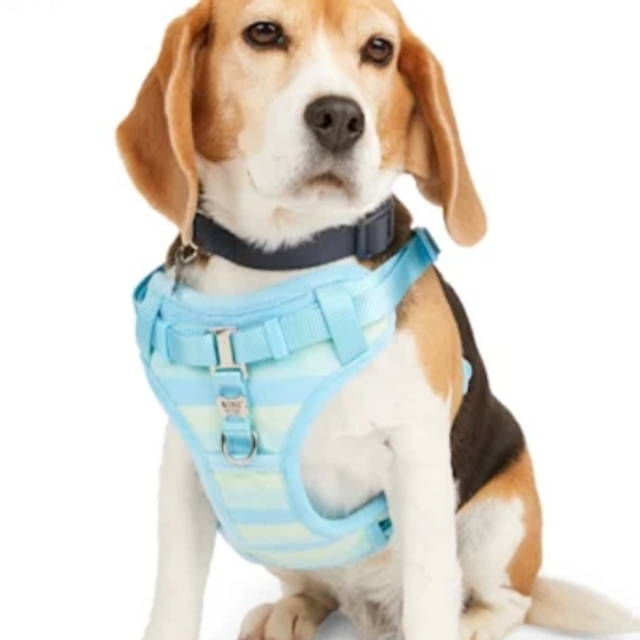 Bobs from Sketchers for 🐕 🐶 Dogs Teal & Light Blue Harness 💙